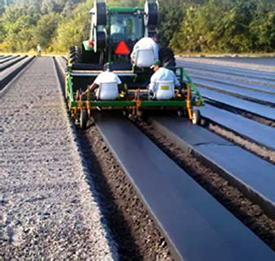 Mulch Film India| Mulching Films India| Mulching Films Supplier India ...