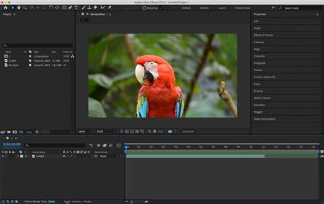 Image result for Shape Up Script After Effect Tutorial