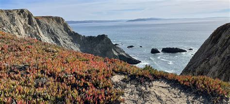 Bodega Head via Upper Dunes, Salmon Creek Beach, and Bodega Head Trail ...