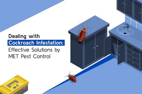 Cockroach Infestation Solutions 的图像结果