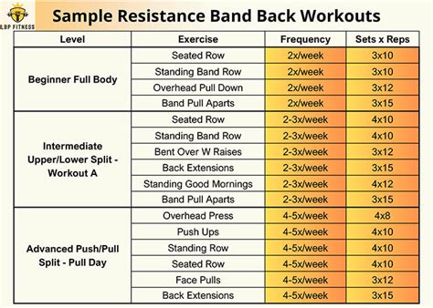 Image result for Good Back Workouts Using Bands
