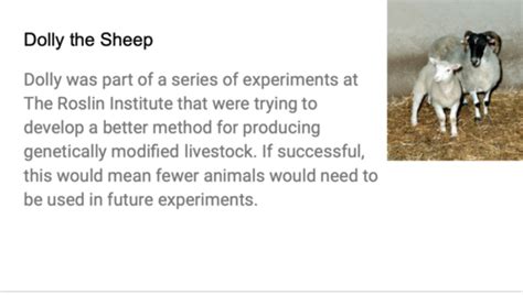 Image result for Cloning Bioethics