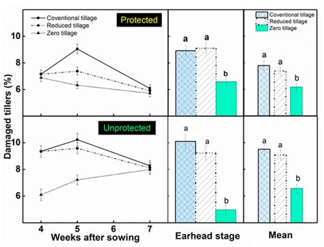 Tillage Intensity Influences Insect-Pest and Predator Dynamics of Wheat ...