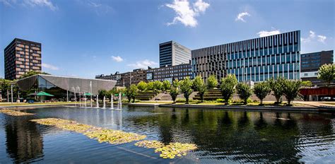 Rotterdam School of Management: Admissions, Ranking, Acceptance Rate ...