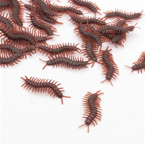 Buy NUOBESTY 100pcs Fake Centipede Plastic Centipedes Realistic Bugs ...