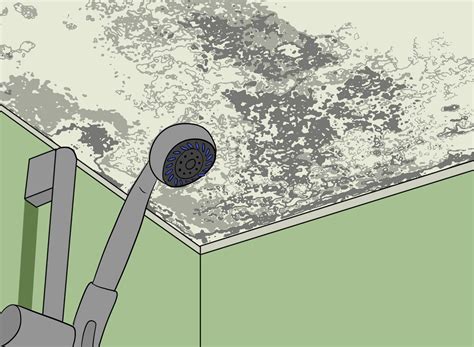 How to Remove Black Mold from Bathroom Ceilings
