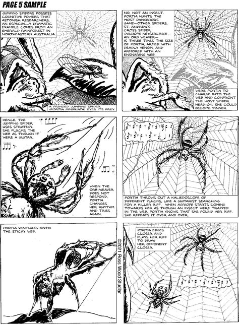 Can Jumping Spiders See the Moon ? - Comic Book - Etsy