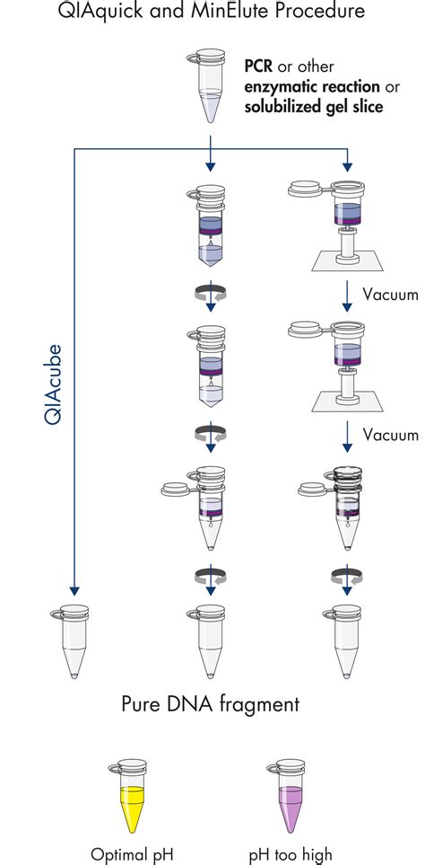 MinElute PCR Purification Kit -50_Qiagen_优宁维(univ)商城