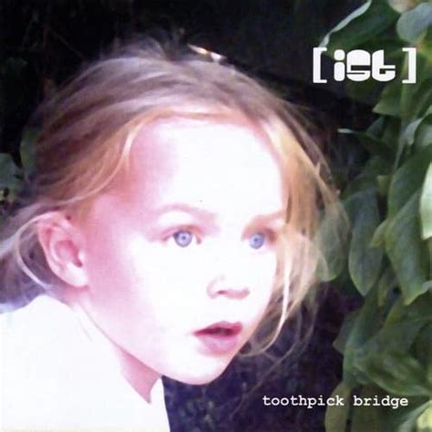 Buy Toothpick Bridge Online at Low Prices in India | Amazon Music Store ...