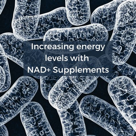 Increase Energy Levels with NAD+ Supplements – Nuchido US