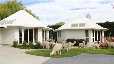 Silverstream Alpaca Farmstay | Accommodation in Christchurch ...