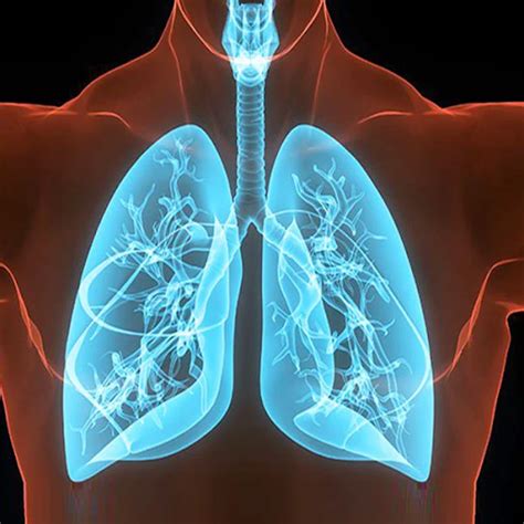 Normal SpO2 Range Adult 的图像结果