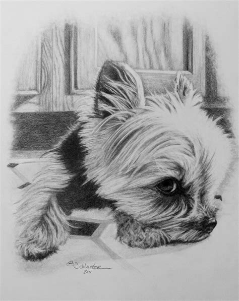 The Little #Yorkie Sketch , Are You Looking For A Special & Unique Gift For A Pet Lover? Give ...