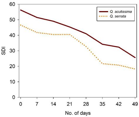 The Leaf Trichome, Venation, and Mesophyll Structural Traits Play ...