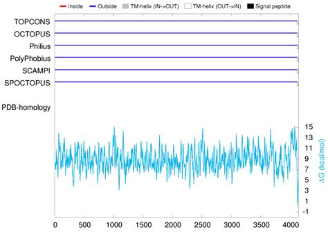 Coupled Effect of Nutritional Food Molecules and Lactobacillus reuteri ...