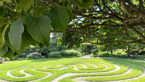 GARFIELD PARK CONSERVATORY (2026) All You Need to Know BEFORE You Go ...
