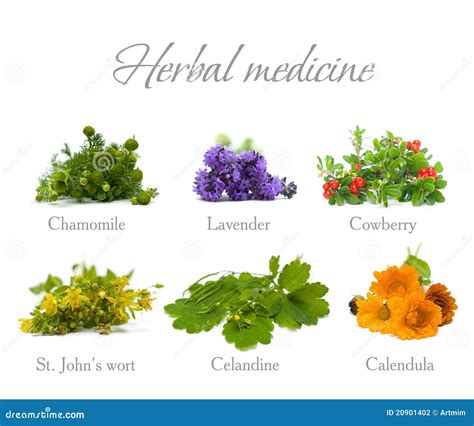 Herbal Medicine 的图像结果