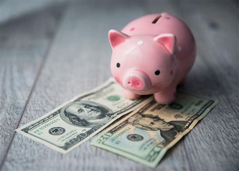 Piggy bank with money | Premium Photo
