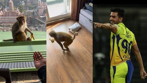 [WATCH] Deepak Chahar shares cute video of getting 'robbed' by monkey