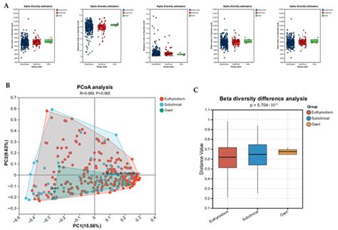 Metagenomic Analysis of Gut Microbiota Structure and Function in Adults ...