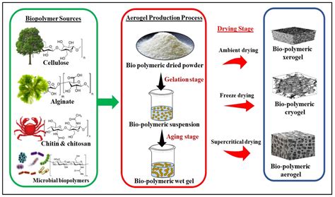 Insights into the Potential of Biopolymeric Aerogels as an Advanced ...
