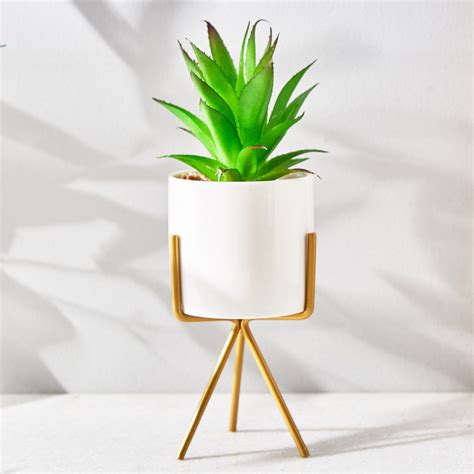 Buy Fiesta Artificial Plant in Ceramic Pot from Home Centre at just INR ...