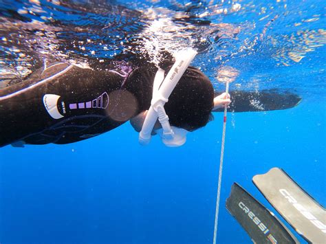 ROATAN FREEDIVING SCHOOL & TRAINING CENTER - All You SHOULD Know Before ...