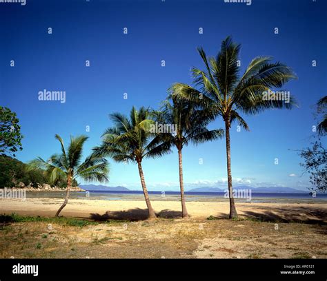 Magnetic island Queensland Australia Stock Photo - Alamy