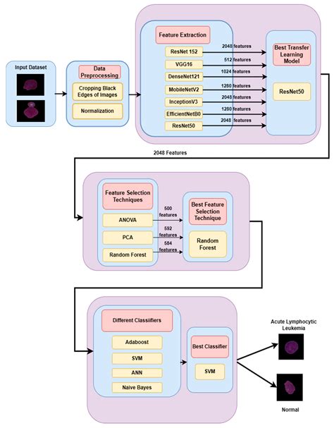 ResRandSVM: Hybrid Approach for Acute Lymphocytic Leukemia ...