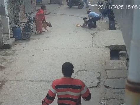 Delhi Prem Nagar Pitbull Attack; 6-Year-Old Child Seriously Injured ...