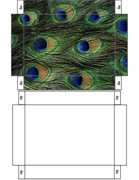 Peacock Gift Box Tutorial 的图像结果