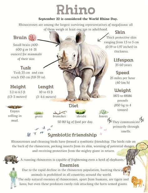 Rhino Facts