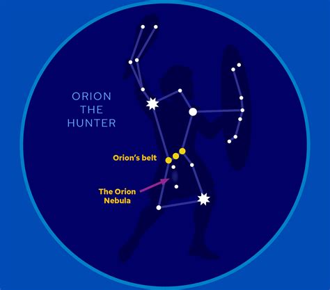 A Kid's Guide to Stargazing | OLogy | AMNH