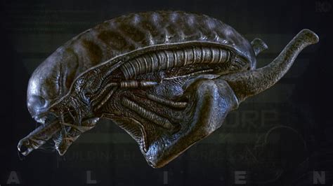 Image result for Alien Xenomorph Head