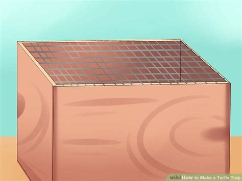 Image result for Building a Turtle Trap