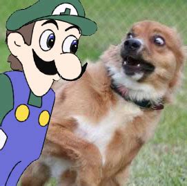 when u Mom com home and make hte spagheti - Forums - MyAnimeList.net