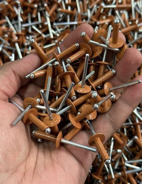 Aluminium Rivet 5 MM Big Teak Colour (1 PKT-250 NOS) for HPL Sheets ...