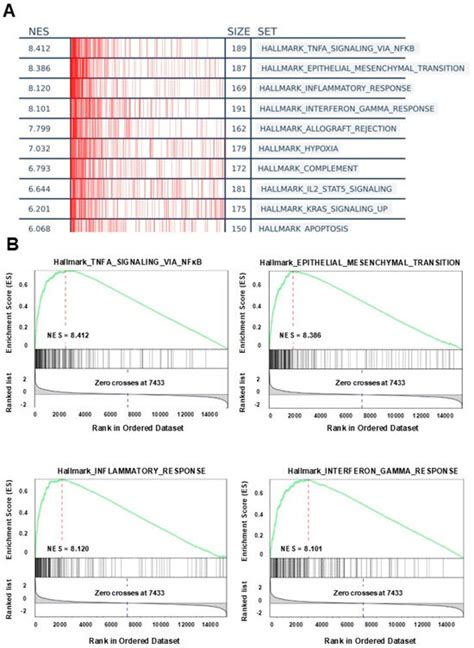 Predicting Treatment Outcomes in Glioblastoma: A Risk Score Model for ...