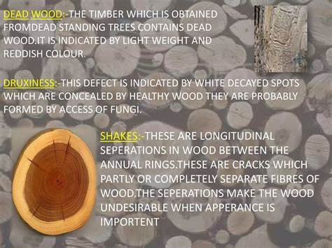 Image result for Defects in Timber