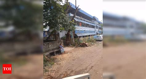 Trees cut for no reason at Matunga Railway Colony - Times of India