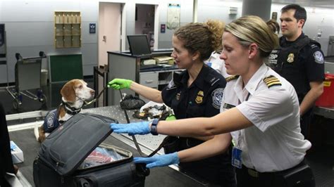 Srednja medicinska i IT gimnazija