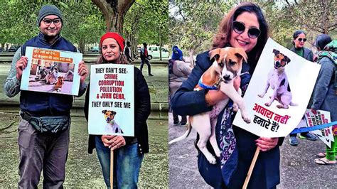 Lucknow joins nationwide protest against SC order on community dogs