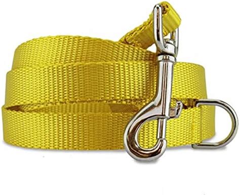 Adler Nylon Patta/Strap Dog Leash, for Walking Running Playing with ...