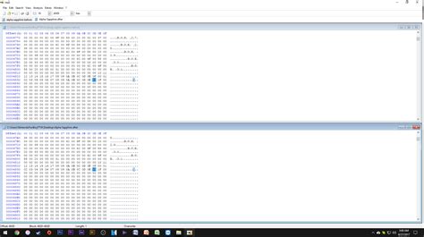 Image result for How to Randomize Omega Ruby with Pkhex