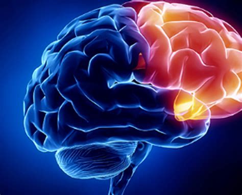 Family First Hospital