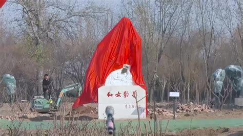 菏泽牡丹离家百年终回故乡，曹州牡丹园牡丹仙子雕像正式揭牌_凤凰网视频_凤凰网