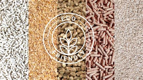 How to Choose the Best Natural Cat Litter: A Comprehensive Guide – SoyKitty