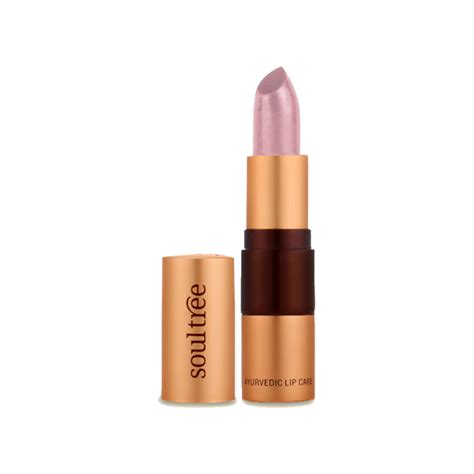 Soultree Ayurvedic Lipstick, Nude Pink | Chemical Free - 4gm – SoulTree