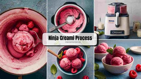 Best Ninja Creami Raspberry Sorbet Recipe [Healthy] - Ninja Creami Ice ...