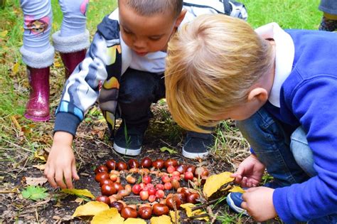 Image result for CBeebies Science
